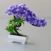 Fleurs décoratives 1pc décor de maison fausse table ornements en pot bonsaï petit arbre plantes artificielles simulation pine pot