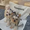 Haustierzubehör handgefertigt Haustier Kopfbedeckung Hundekopf Blume Teddy Yorkshire maltesische Perle Flash Diamond Sonnenbrille Welpenlieferungen 240511