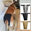 Vêtements de chien pantalon physiologique femelle