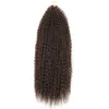 Parrucche Wigs Brasiliani Brasiliani Brasiliani ad alta temperatura Fibra di fibre all'uncinetto Trecce brasiliane Treccia sottili ondulate