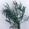 Dekorativa blommor 50g naturliga bevarade växt Eukalyptusblad torkad bukett för bröllopsdekoration party hem boho bord