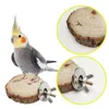 Other Bird Supplies Hangings Bell Toys Soft Birds Nest Cage 7 PCS Birdcage Bedding Outdoor Decoration For Small Parakeet Cockatiel