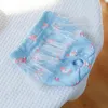 Hundebekleidung weibliche Spitzenblume Waschkollegen Hohte Menstruation Unterwäsche Slip Overall
