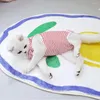 Vêtements de chien chat stérilisation costume pyjamas de compagnie à rayures de la peau