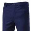 1 set di abiti formali a maniche lunghe semplici pantaloni blazer pantaloni di colore puro color per appuntamenti 240430