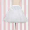 Themakostuum vrouwen lolita rok tule elegante geplooide tutu skirs petticoat falda rokken met boog