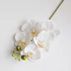 Fleurs décoratives Glue 5 Phalaenopsis artificiel Small Fake Silicone Pu Real Touch Wedding Home Decoration