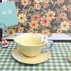 Tazze di piattini dipinti a mano in rilievo tridimensionale tazza di latte coreano semplice petalo tazza di piattino set tazza di tazza di tazza di ceramica
