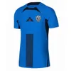 2024 NOWOŚĆ SOVIENIA SOCCER Jerseys Sesko Home Białe Blue 2024 2025 Football Ubrania Bluza Topy Koszula