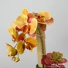 Fleurs décoratives 10pcs / lot !!!En gros 3d Real Touch Orchidées de papillon artificiel Latex Moth Orchid Wedding Phalaenopsis