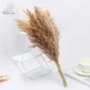 Fiori decorativi bouquet secco piccolo pampas erba steli vecchi piante di materiale naturale tiro oggetti di scena giardino decorazione per feste