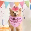 Dog abbigliamento per feste di compleanno cappelli da festa per gatti abiti da gattino in feltro elastico elastico in feltro e poliestere non facili