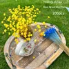 Decorative Flowers 200PCS Mini Flores Bouquet Brazilian Small Star Daisy Real Natural Dried Flower For DIY Epoxy Resin Wedding Home