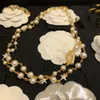 Frauen Anhänger Halsketten Cclies Herbst und Winter Perlenpullover Kette Gold Langfrau Juwelierdesigner Top -Qualität Luxus Choker Jerrya 154