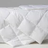 Peter Khanun 100% Goose Down Duvet Lightweight Comforter Summer Quilt Blanket Hypoallergenic Antimite 022 240506
