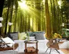 Оболны Солнечный свет через лесной современный телевизионный фон 3D Комнатные обои ландшафтные росписные дизайны