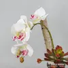 Fleurs décoratives 10pcs / lot !!!En gros 3d Real Touch Orchidées de papillon artificiel Latex Moth Orchid Wedding Phalaenopsis