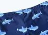 Shorts Honeyzone Baby Boy swimsuit set childrens swimsuit with UV protection shark print childrens swimsuitL2405L2405