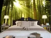 Оболны Солнечный свет через лесной современный телевизионный фон 3D Комнатные обои ландшафтные росписные дизайны