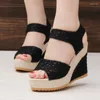 Sandals Women's Wedge 2024 Fashion Summer Mesh Open Open Sole Sole High Heels Sexy Party for Women Zapatos