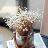 Decorative Flowers 200PCS Mini Flores Bouquet Brazilian Small Star Daisy Real Natural Dried Flower For DIY Epoxy Resin Wedding Home