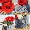 Flor eterna por atacado Flor artesanal preservada Real Rose Glass tour titular imortal