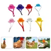 Hondenkleding 8 PCS Kip Hoed Vogels Decor klein huisdierfeestje Schattige papegaai slang pluche kipvoorraad