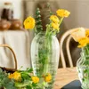 Vases Nordic Large Necked Vase Fresh Flowers Hydroponic Tabletop Glass Living Room Decoration Retro Double Ear