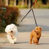 Köpek yakaları 1 adet çift ikiz çift kuplör tasma iki güçlü naylon v ŞEKİL PET Renkli Yollar Kurşun Köpekler Accessoires