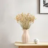 Fleurs décoratives 60 PCS Pampas Decor d'herbe 40 cm Tail séché naturel Lagurus Ovatus Bouquets Arrangements de mariage à la maison