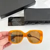 Lunettes de soleil de luxe verres de lecture designers hommes femmes chanells de qualité des yeux de chat de chat pour les femmes à usages quotidiens lisent des verres