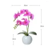 Декоративные цветы пуфта -бабочка орхидея искусственная цветочная керамическая ваза бонсай