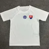 2024 2025 Slovakia Hancko Soccer Jerseys 2024 Slovak seleção slovelnska haraslin lobotka hancko bozenik mak polievka duris sauer duda lobotka futebol camisas de futebol