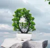 Fiori decorativi piante artificiali bonsai in vaso bellissimo piccolo albero ornamenti finti per la festa del giardino pianta