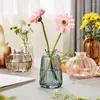 Vases Decor Modern Living Room Vase Bud Glass Hydroponics For Transparent Flower Decorative Bottle Table Mini Ornaments Plant
