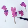 Decorative Flowers Viola Rose Pink Natural Dried Bouquet For Nail Art 40Pcs Feee Shipment