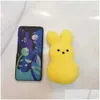 Peeps 25 cm en peluche favorise 15cm lapin lapin peep toys simation stepred Animal Doll for kids enfants givels soft girs gir dhnro