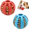Hundeballspielzeug für kleine Hunde interaktive Elastizität Welpe Kauen Spielzeugzahn reinigen Gummi -Food Ball Spielzeug Haustier Stuff Accessoires