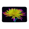 Mattes de bain aquarelle tapis de papillon floral pour baignoire paysage non-silp marguerite dahlia fleur de salle de bain rural tapis de salle de bain