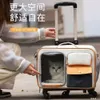 Étui portable de transport pour animaux de compagnie avec une boîte d'aviation pour animaux de compagnie de grande capacité, un chat en plein air et des bagages pour chiens de grande capacité Push-Pull Pet Crate 2024 Nouveau 429