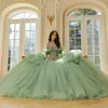 Sage Green Shiny Ball Gown Quinceanera Dresses 2024 Classic Applique Lace Beads Tull Sweet 16 Dress Corset Vestidos De 15