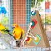 Other Bird Supplies Toys For Cockatiels Paper Chew Triangular Colorful Cage Accessories Parakeets Budgies Conures And Parrots Foraging