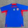 2024 2025 Slovakia Hancko Soccer Jerseys 2024 Slovak seleção slovelnska haraslin lobotka hancko bozenik mak polievka duris sauer duda lobotka futebol camisas de futebol