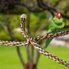 Andra fågelförsörjningar Färgglada rep abborre burtillbehör Flexibla spiral bomullsrep för kanarie Budgie Parakeet Cockatiel Macaws