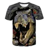 2024 Child Boys Girls Dinosaur Tshirts Summer Chłopiec z krótkim rękawem Causal T Shirt Tops Tee Childrens Odzież 314 Rok 240511