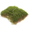 Fleurs décoratives Bloc de mousse simulé Faux Turf Grass Micro Paysage Plastique Plastic Scene