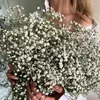 Kwiaty dekoracyjne naturalny suszony gipsophila kwiat oddech oddech dla dekoracji ślub