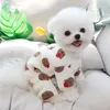 Hundebekleidung Welpe Jumpsuit Winter Herbst süße Cartoon Haustier Mode Desinger Kleidung Katzengurt warmer Pyjama Yorkshire Pudel