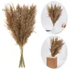 Fiori decorativi bouquet secco piccolo pampas erba steli vecchi piante di materiale naturale tiro oggetti di scena giardino decorazione per feste