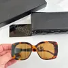 Lunettes de soleil de luxe verres de lecture designers hommes femmes chanells de qualité des yeux de chat de chat pour les femmes à usages quotidiens lisent des verres